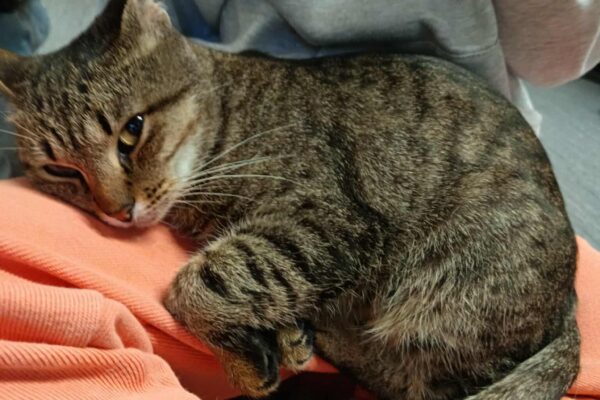 566521550_2077083196165015_202176800693625067_n