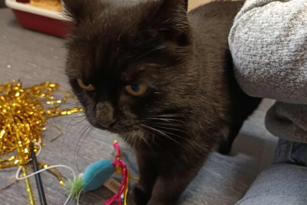 574519234_24887277767602707_6329301327221634558_n