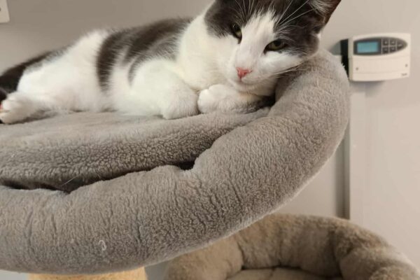 575774419_1348616440289944_6908096292851007583_n