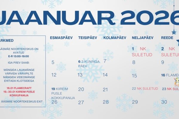 Ääsmäe jaanuar 2026 (2)