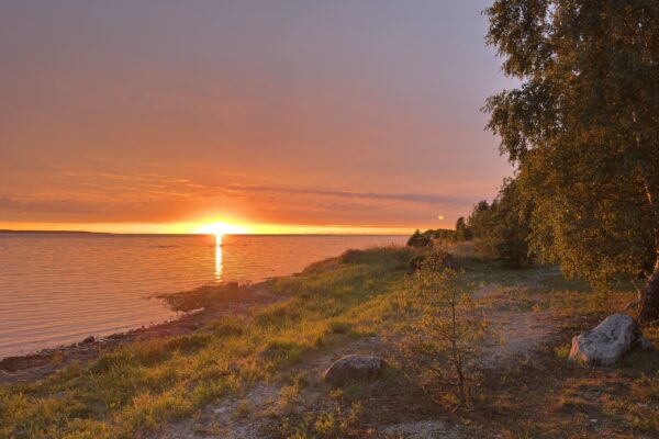 IMG_0066 IMG_0066