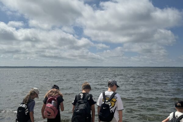 IMG_0452 IMG_0452