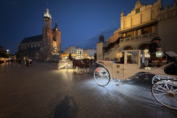 IMG_0497 IMG_0497