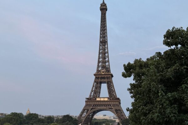 IMG_1558 2 IMG_1558 2