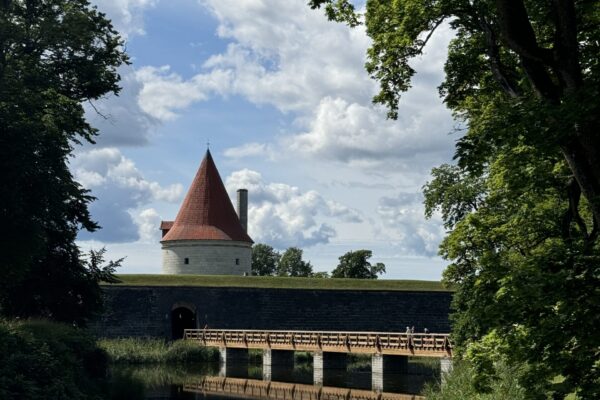 IMG_2138 IMG_2138