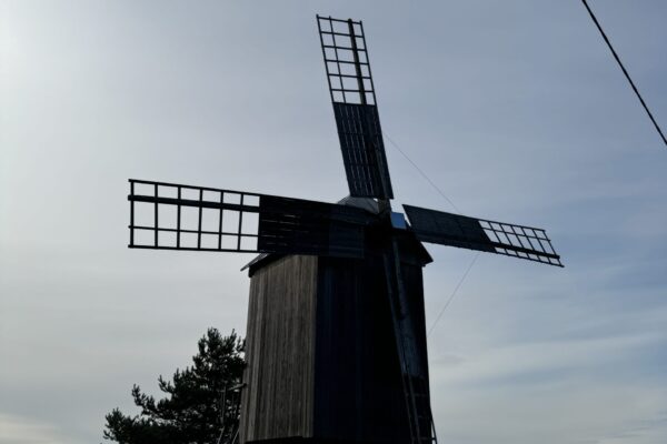 IMG_2173 IMG_2173