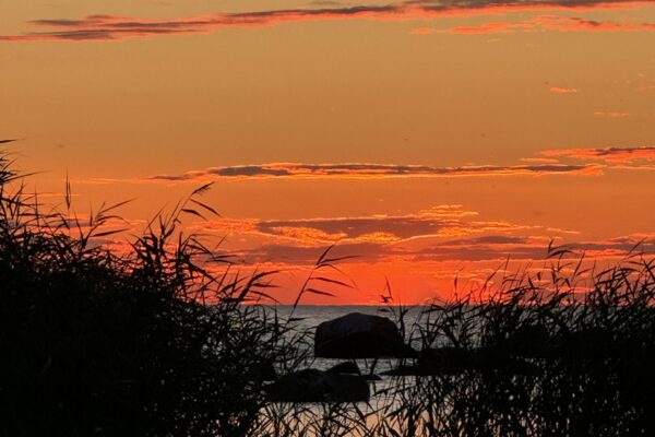 IMG_2251 IMG_2251