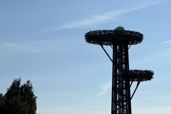 IMG_2680 IMG_2680